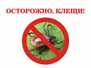 Памятка против клеща.